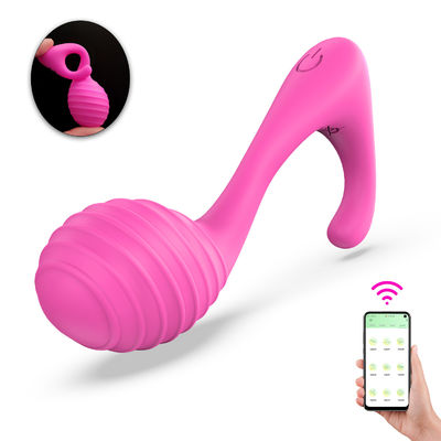 Mini Magnetic Charging Butterflies Vibrators Vibrating Eggs Toy Cho Phụ nữ Và Cặp đôi